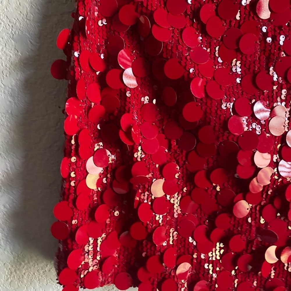 Editkted Sabina Low-Rise Sequin Red Coquette Sexy Mini Whimsical Skirt  Size L - Picture 6 of 11